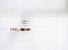 12 choses intéressantes sur le pénis que vous devriez certainement savoir